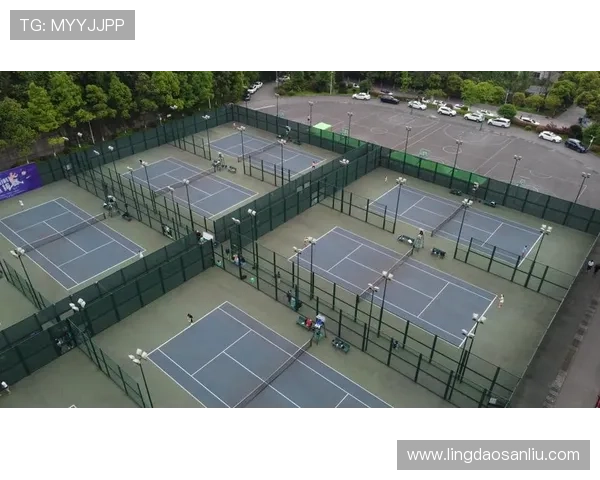 广州网球队选拔赛技术表现分析与未来发展展望